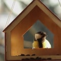 Zullen vogels een beschilderd vogelhuisje gebruiken?