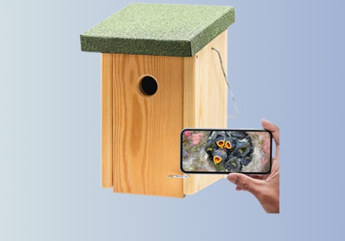 Wat voor soort camera kan ik in een vogelhuisje plaatsen?